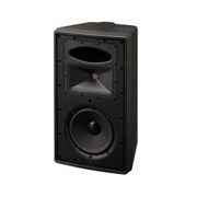 2ウェイスピーカー ブラック CONTROL29AV-1