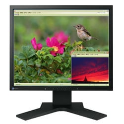 17型 デジタル/アナログ接続 液晶モニタ スピーカー内蔵 ブラック FlexScan S1721-SHBK