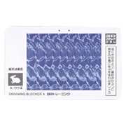 SG-004C [スキミングブロッカー カードサイズ 3Dステレオグラム柄]