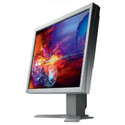 20.1型 デジタル/アナログ接続 液晶モニタ セレーングレイ S2000-GY