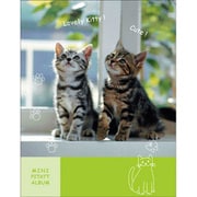 ミニピタットアルバム 子猫キミドリ AP-M02KMD