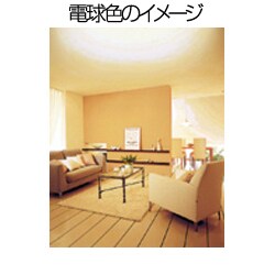 ヨドバシ.com - NEC ホタルクス HotaluX 直管蛍光灯（スタータ形