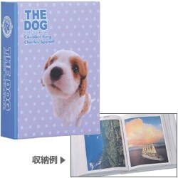 1PK-30-4 THE DOG ワンポケットアルバム