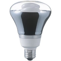 電球形蛍光灯 E26口金 100W電球タイプ 昼光色 ネオボールZ R25形（22W） EFR25ED/22