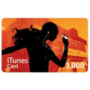 iTunes Card 3,000円分 [MA782J/A]