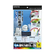 カラーLBP&PPC用フィルムラベル 水に強い・屋外にも使えるタイプ 光沢紙 透明 A4 12面 10枚 LBP-OD112T-10