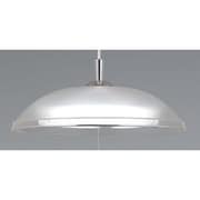 インテリアペンダント（6-8畳用・昼光色） RP-8742EJ