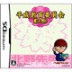 平成教育委員会DS [DSソフト]
