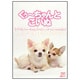 くぅ～ちゃんとこいぬ チワワの「くぅ～ちゃんファミリー」 オフィシャルDVD!! [DVD]