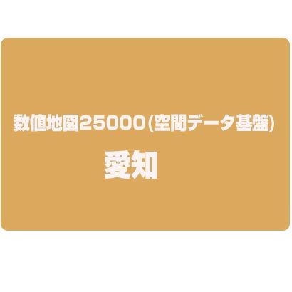 数値地図25000(空間データ基盤) 愛知 [電子地図]
