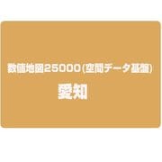 数値地図25000(空間データ基盤) 愛知 [電子地図]