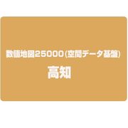 数値地図25000(空間データ基盤) 高知 [電子地図]