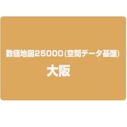 数値地図25000(空間データ基盤) 大阪 [電子地図]