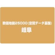 数値地図25000(空間データ基盤) 岐阜 [電子地図]