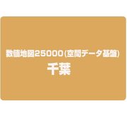 数値地図25000(空間データ基盤) 千葉 [電子地図]