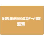 数値地図25000(空間データ基盤) 滋賀 [電子地図]