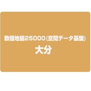 数値地図25000(空間データ基盤) 大分 [電子地図]