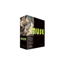 MUSE [マルチカテゴリー インストゥルメント]