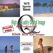 High Quality Digital Image for Pro アグレッシブハワイ [Windows/Mac]