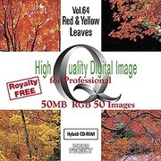 High Quality Digital Image for Professional Red & Yellow Leaves [Windows/Mac]