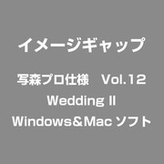 写森プロ仕様 Vol.12 Wedding II [Windows/Mac]
