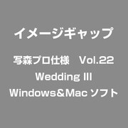 写森プロ仕様 Vol.22 Wedding III [Windows/Mac]