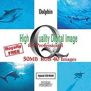 HIGH QUALITY VOL.33 Dolphin [Windows/Mac]