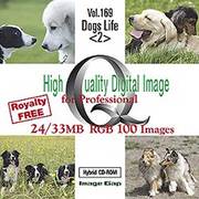 HIGH QUALITY VOL.169 DOGS LIFE <2> [Windows/Mac]