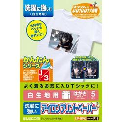 アイロンプリントペーパー 洗濯に強い 白用 ハガキ フリー 5枚 EJP-SWPH2