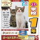 PC教育シリーズ 小学校1年 ゴールドエディション [Windows]