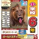 PC教育シリーズ 小学校6年 ゴールドエディション [Windows]