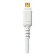 iLink ケーブル 1.0m RP-CDE4G10-W