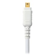 iLink ケーブル 2.0m RP-CDE4G20-W