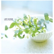 フエルアルバムDigioライフシーン ブルー LPF-1001-B
