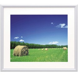 ヨドバシ Com フジカラー Fujicolor アルミ額ブチ Ya 3 ワイド六つ切り ホワイト 通販 全品無料配達