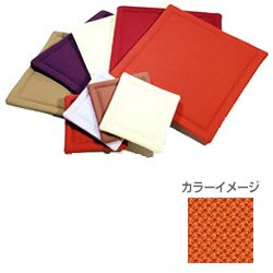 CR10R/ORANGE (オレンジ) [調音パネル] キャレ・レギュリエ