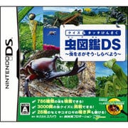 クイズ＆タッチけんさく 虫図鑑DS -虫を探そう・調べよう- [DSソフト]
