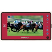 BTV-400R (レッド) [4V型 ポータブルデジタルテレビ]