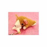 ぱっくんCLUB コーギー