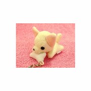 ぱっくんCLUB チワワ