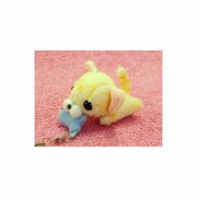 ぱっくんCLUB チャトラ