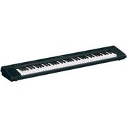 ポータブルグランド NP-30 (ブラック)