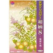 デザインパワー和柄 8 ～優画百選～ [Windows＆Macソフト]
