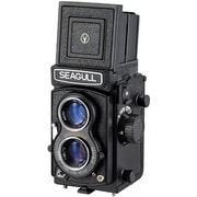 Seagull4B-1