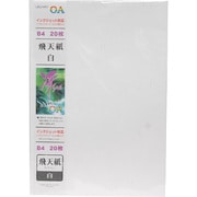 IJOA和紙 B4 飛天紙 白 モリ661