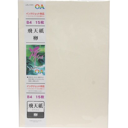 IJOA和紙 B4 飛天紙 卵 モリ663