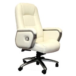肘付きチェア アイボリー RXC-501AX-IV
