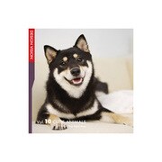 MIXA Image Library別冊 DESIGN VISION Vol.10　 かわいい動物 [Windows/Mac]