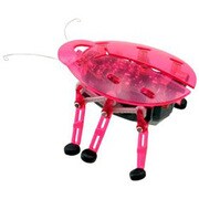 HEX BUG（ヘクスバグ） RED