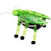 HEX BUG（ヘクスバグ） GREEN